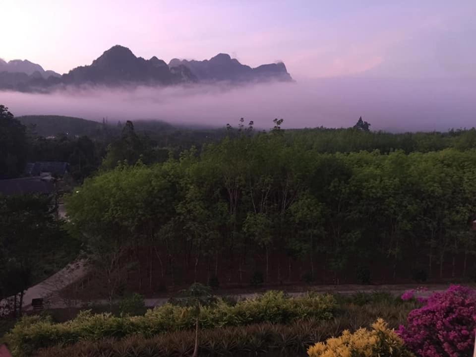 Billion Views Khaosok Homestay Khao Sok National Park Экстерьер фото