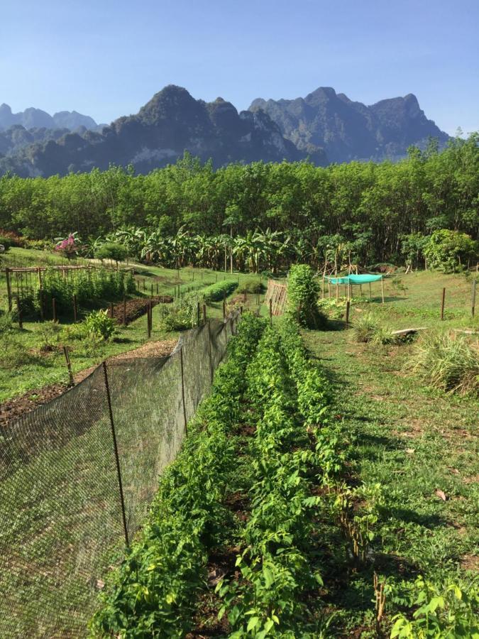 Billion Views Khaosok Homestay Khao Sok National Park Экстерьер фото