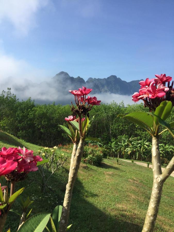 Billion Views Khaosok Homestay Khao Sok National Park Экстерьер фото